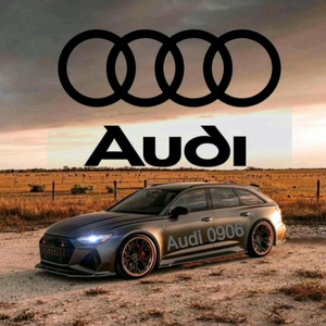 奥迪视界Audi0906头像