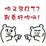 帕萨特588头像