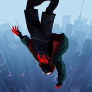 dbliu0416的个人资料头像