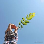 enjoy_today的个人资料头像