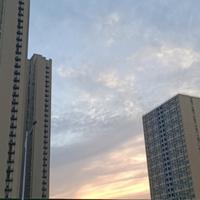 仁爱微风Ss头像