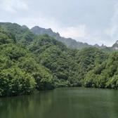 多才圆月H9头像