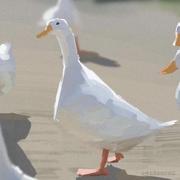 林汲的个人资料头像