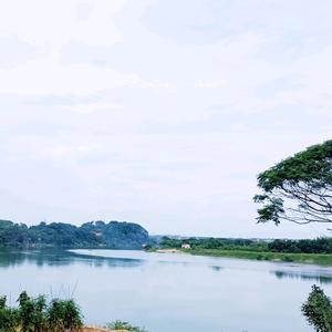 北岸秋雨头像