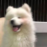 万事胜意507的个人资料头像