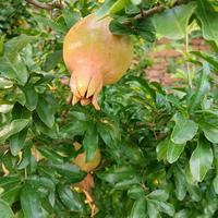 用户8455571172873头像