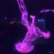 jojojonathan的个人资料头像