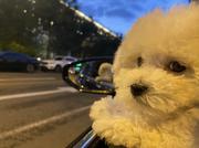 ssssss1973的个人资料头像