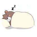 哈喽99的个人资料头像