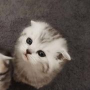 MrGrooooooot的个人资料头像