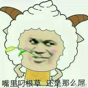 xsjzf的个人资料头像