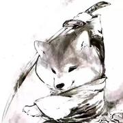 theonenull的个人资料头像