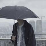鹤尘熙头像