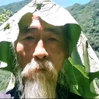 拖把沾吕布在世头像