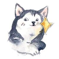 skyloveraining头像