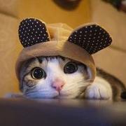 达不溜w的个人资料头像