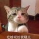 用户92542头像