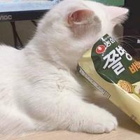 山山而川8680头像