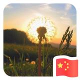用户781408944273头像