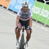 淡水热带鱼1021头像