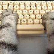 芒果有点忙的个人资料头像