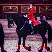 一个马术骑手的日常头像