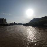 远见卓识饺子wk头像