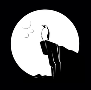 细雨轻言的个人资料头像