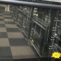 张阿星666888头像