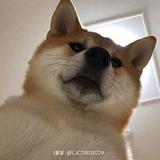 用户1961826506878头像