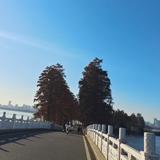 熊浩燃头像