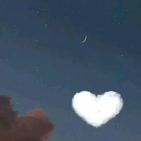 破茧重生的小羊头像