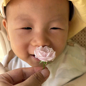 朗朗日记头像