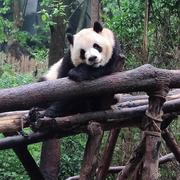 PatrickStar747的个人资料头像