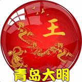 琴岛大明头像