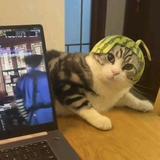 小文影视z头像
