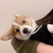 陈安安_00的个人资料头像