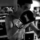 兰村_web的个人资料头像