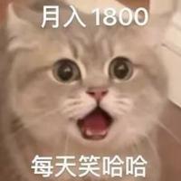 粤B小白车主头像