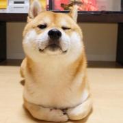 Neoyyy的个人资料头像