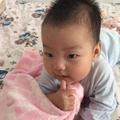 快乐盖布里埃尔7r2头像