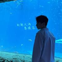 智者星球7Jo头像