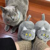 小猫咪被玩坏了头像