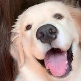 小七55200头像