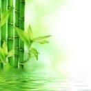 白天不懂夜的黑就是我的个人资料头像