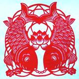 中粮62815451头像