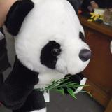 神秘客180头像