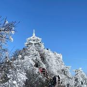 我想我是海258的个人资料头像