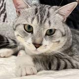 车已买房已购不装修头像