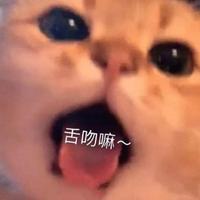久居心上人头像